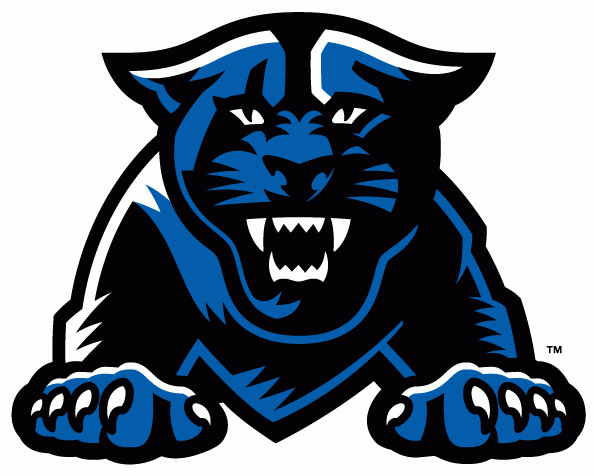 Georgia State Panthers 2010-Pres Partial Logo diy fabric transfer